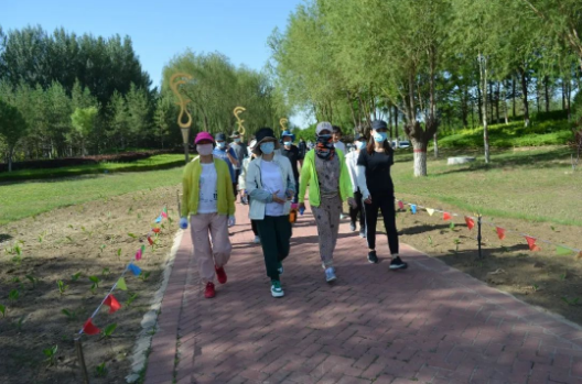 绿色生活健步行